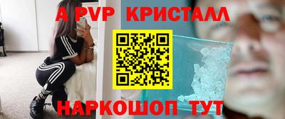 стаф Будённовск