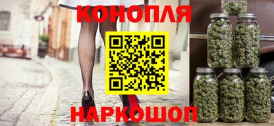стаф Будённовск
