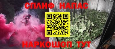 стаф Будённовск