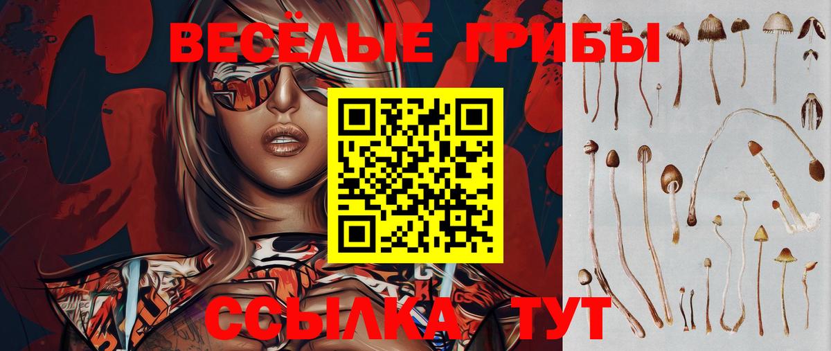 Москва  Галлюциногенные грибы ЛСД  Вход с VPN 